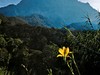 NP Kinabalu